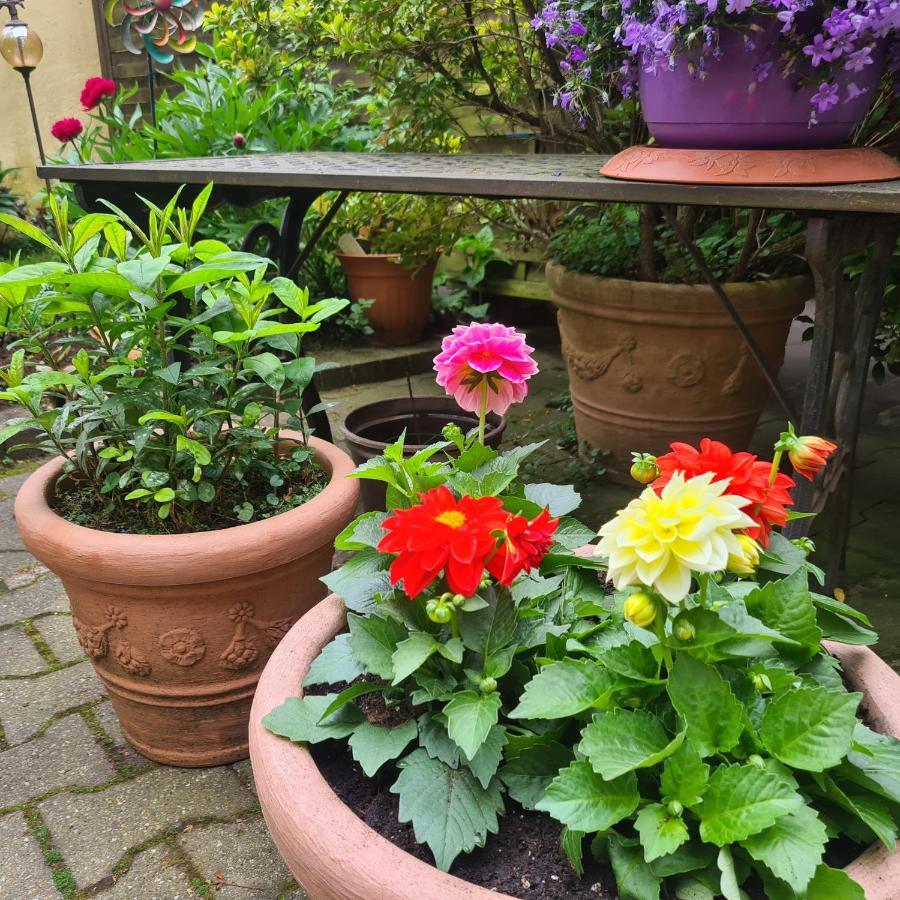 Apartment Modernes 5 , 6 Und 7 In Bochum