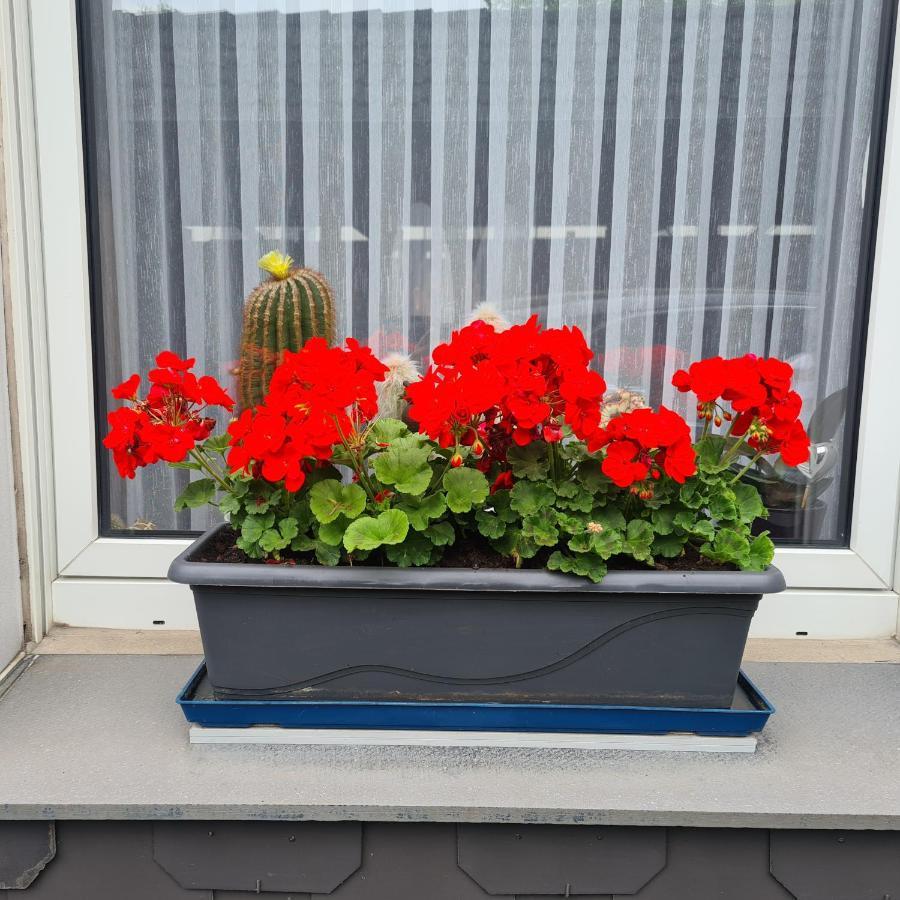 Modernes 5 , 6 Und 7 In *