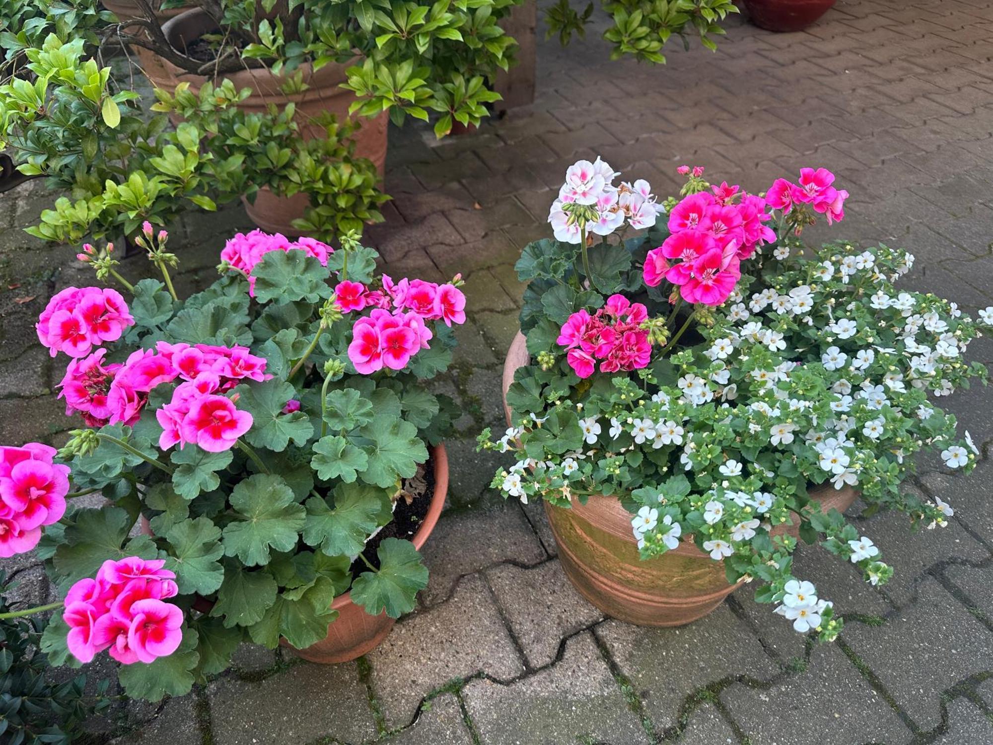 Modernes 5 , 6 Und 7 In Apartment *